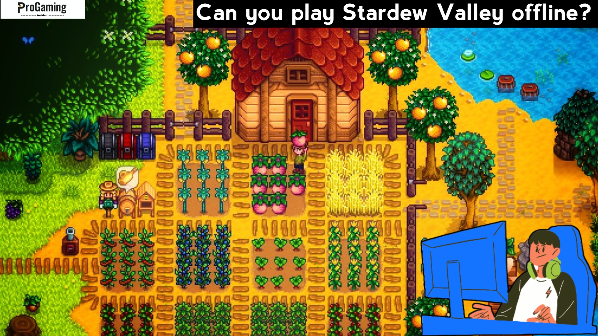 can i play stardew valley offline